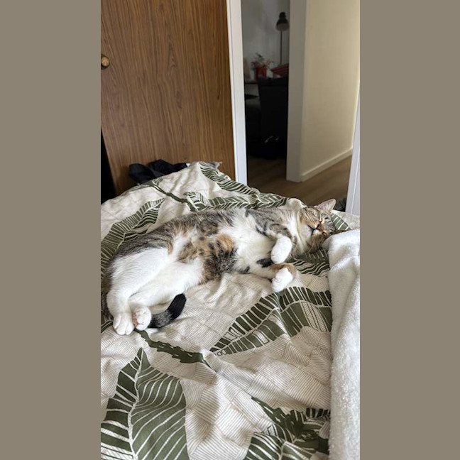 Photo of Samantha