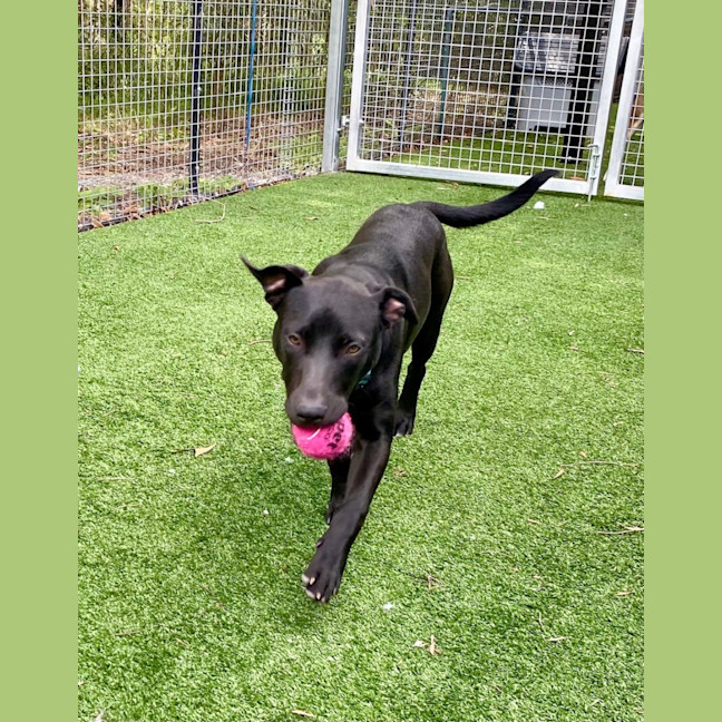 Photo of D1044 Marley