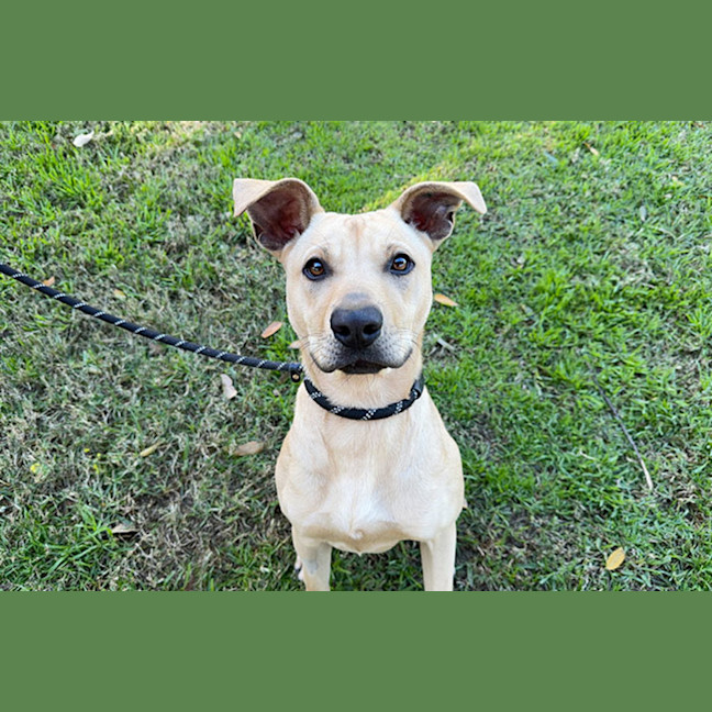 Photo of Slinky