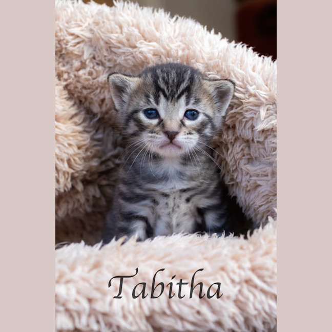 Photo of Tabitha