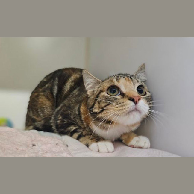 Photo of Winnie