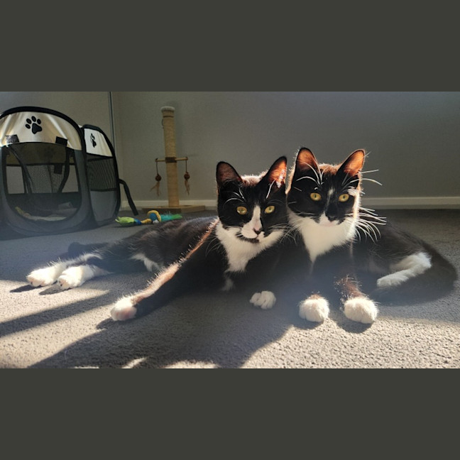 Photo of Lucy & Fletch