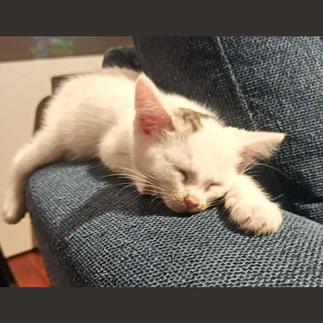 Photo of Brindabella