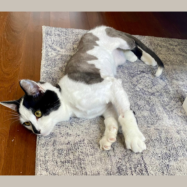 Photo of Mooey