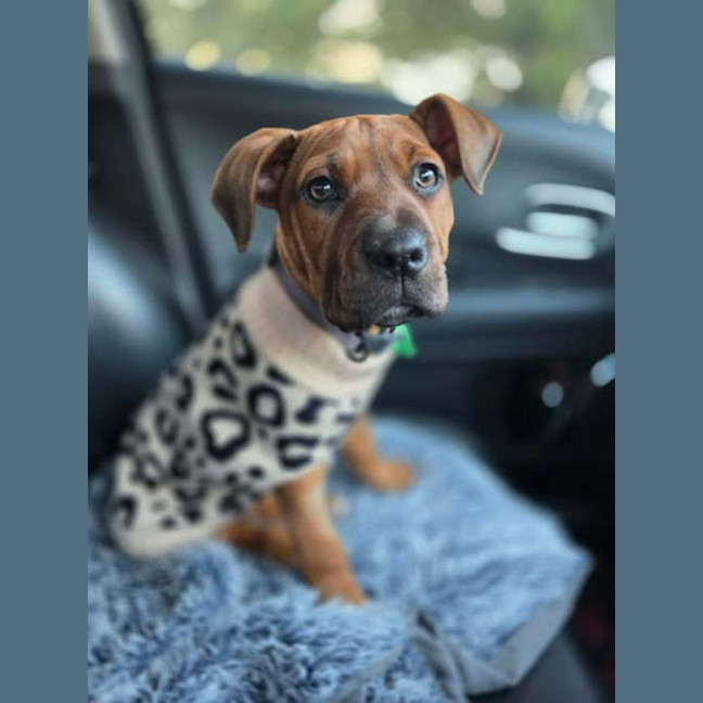 Photo of Storm