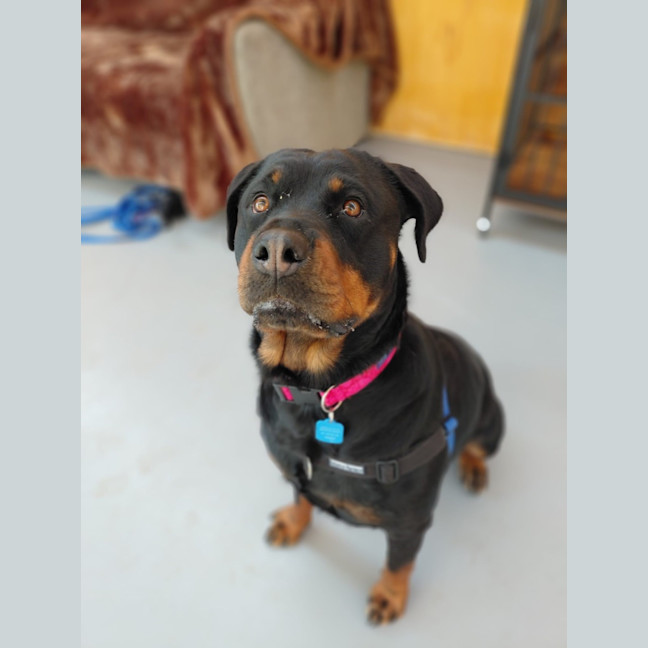 Photo of Jessie