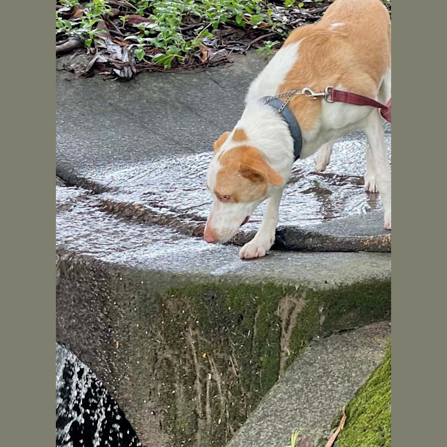 Photo of Sandy