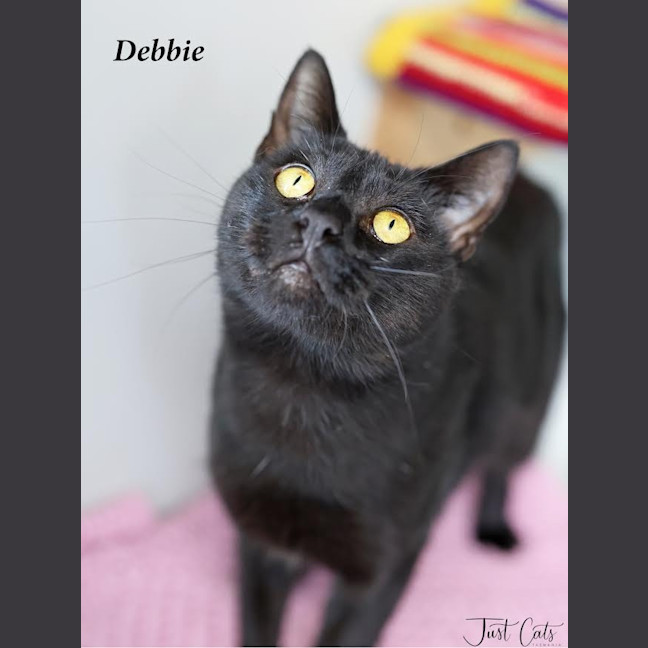 Photo of Debbie   Burnie