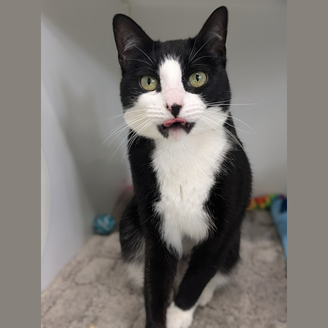 Photo of 💕 Yin 5660 💕