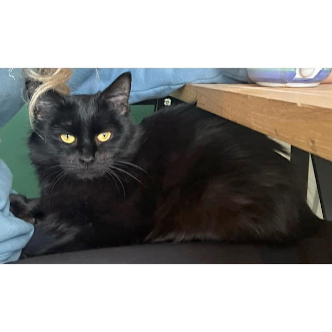 Photo of 10903   Hope