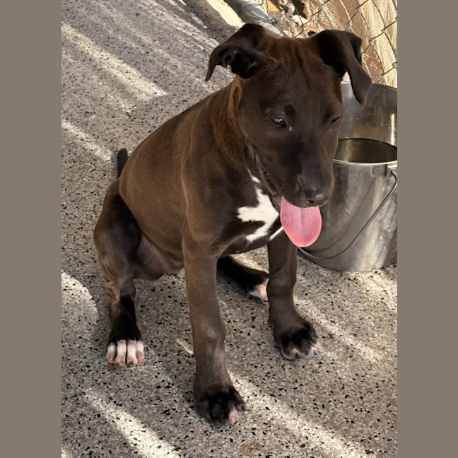 Photo of Nellie