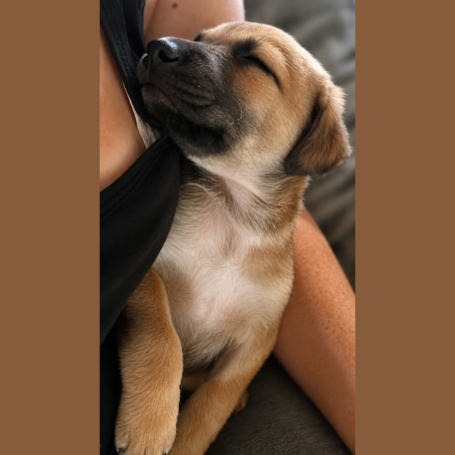 Photo of Sawyer