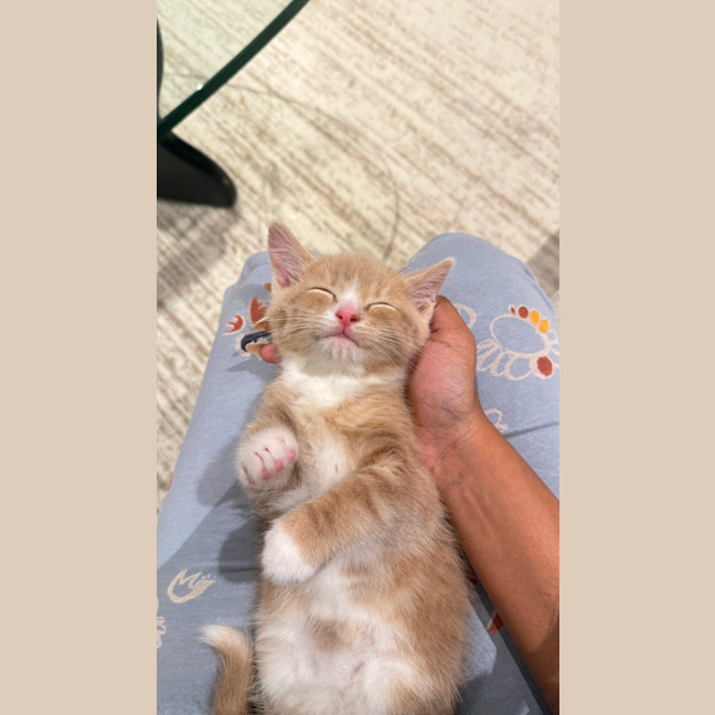 Photo of Maui & Wowie