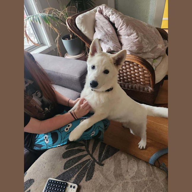 Photo of Lumi