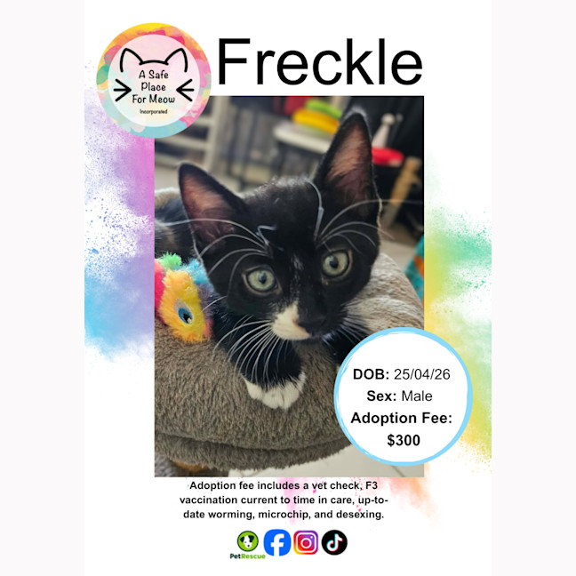 Photo of Freckle