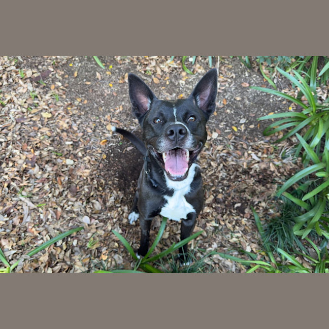 Photo of Little Bear