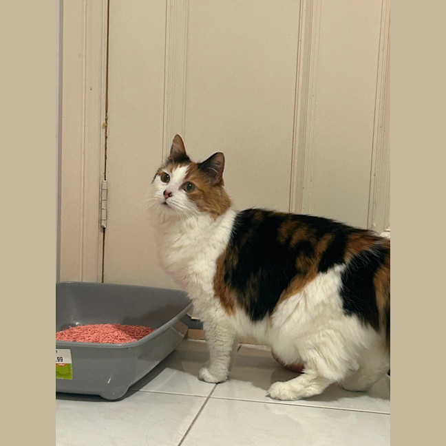 Photo of Miss Sassy Pants