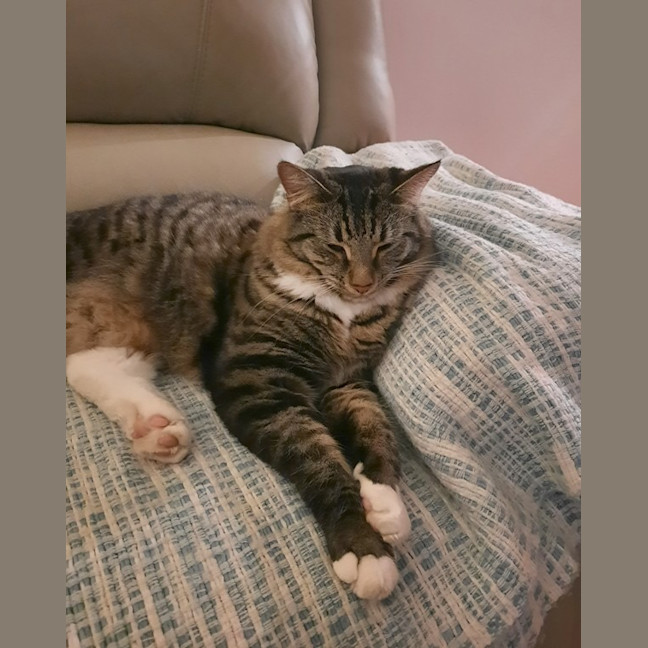 Photo of Tommy