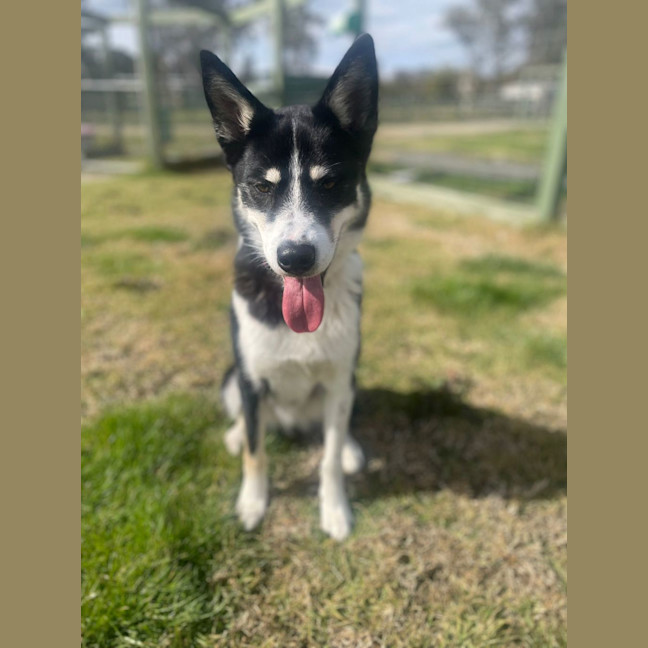 Photo of Zuri Mitrovic