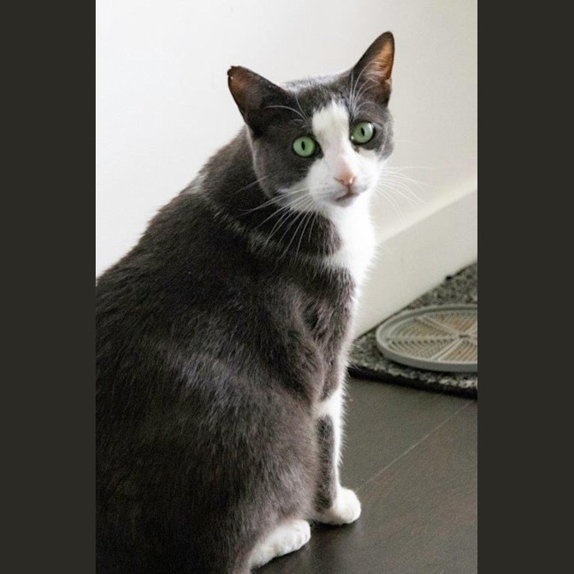 Photo of Billy Ebsworth