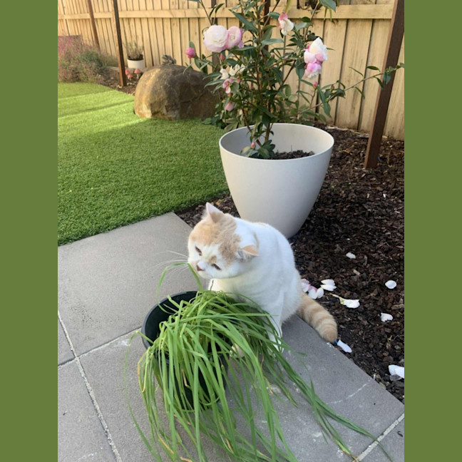 Photo of Gary