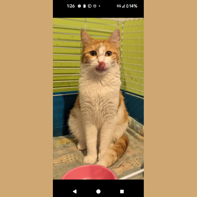 Photo of Tracey