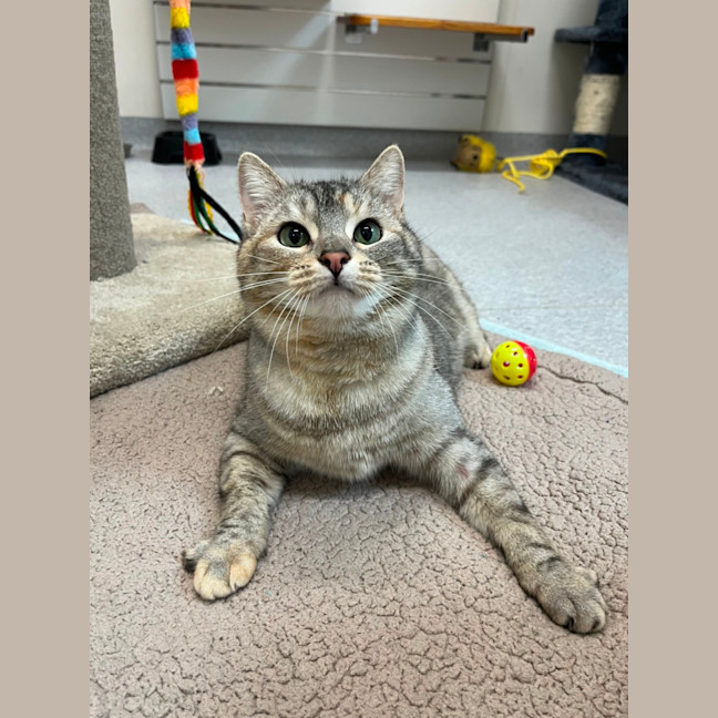 Photo of Stormi And Yeow Yeow