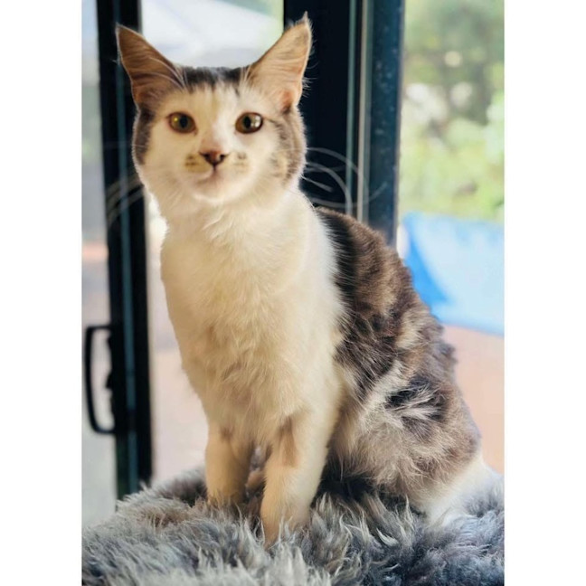 Photo of 12406   Saki