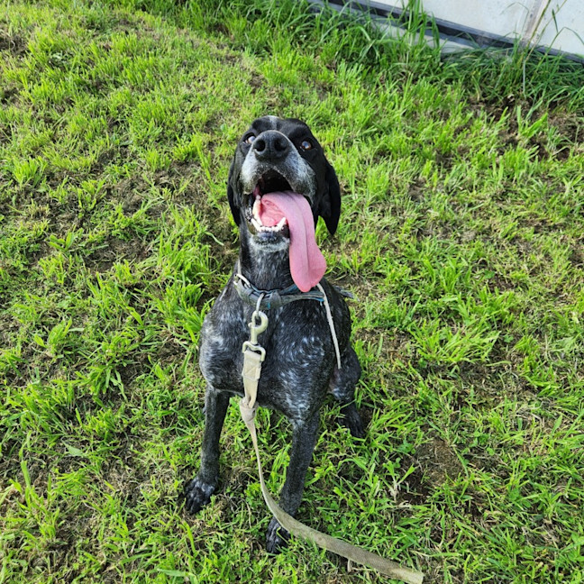 Photo of Soula (64215)