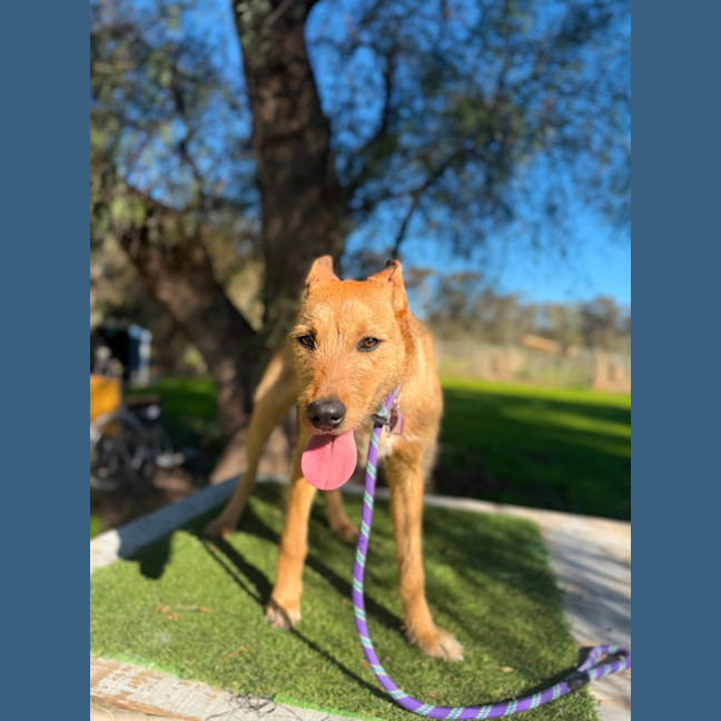 Photo of Lexi 