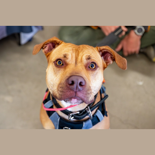 Photo of Malley 