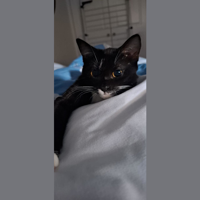 Photo of Audrey
