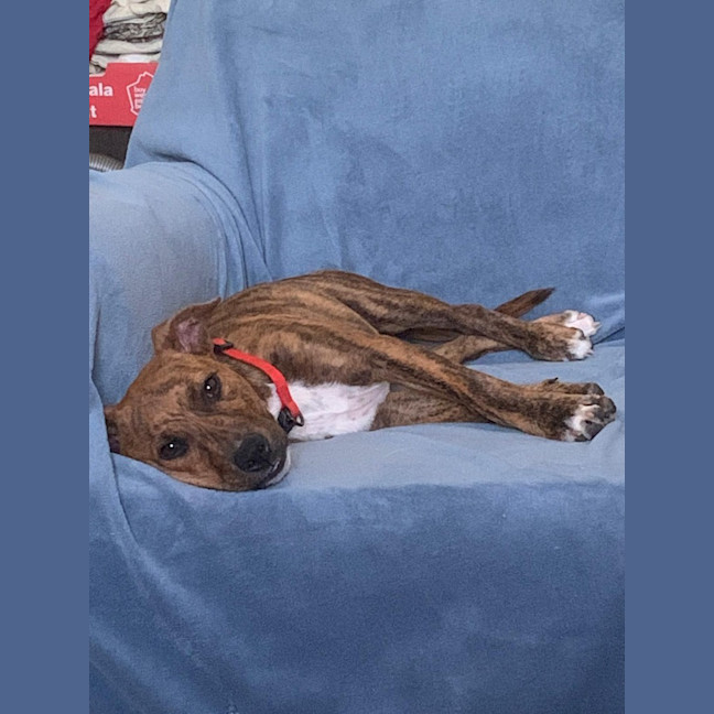 Photo of Candy