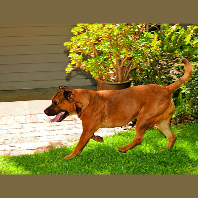 Photo of Princess (Prinny)