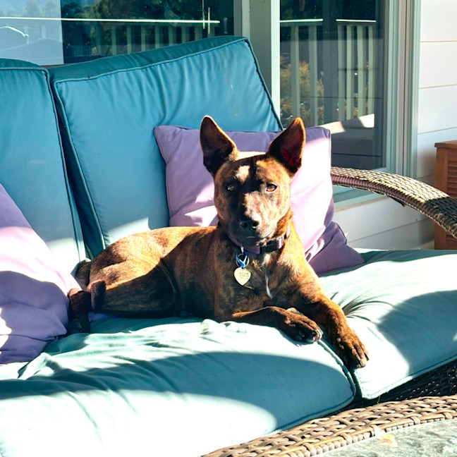 Photo of Cocobella