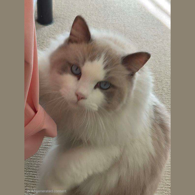 Photo of Milo