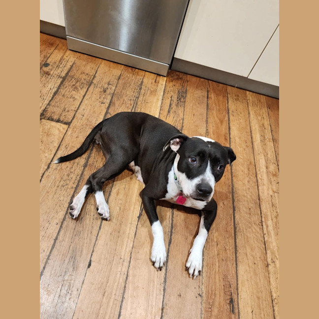 Photo of Rosie
