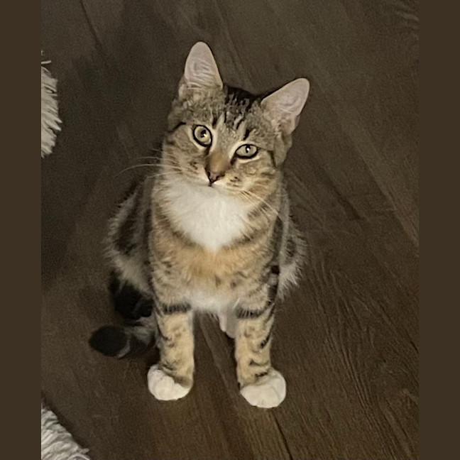 Photo of Cash