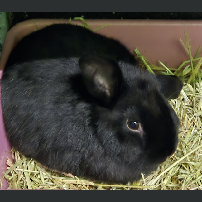 Photo of Spooky