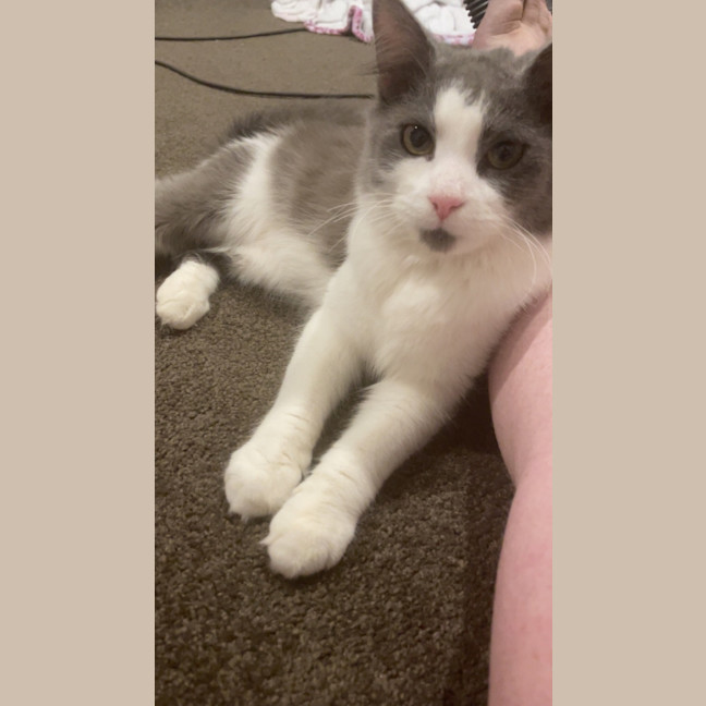Photo of Ash