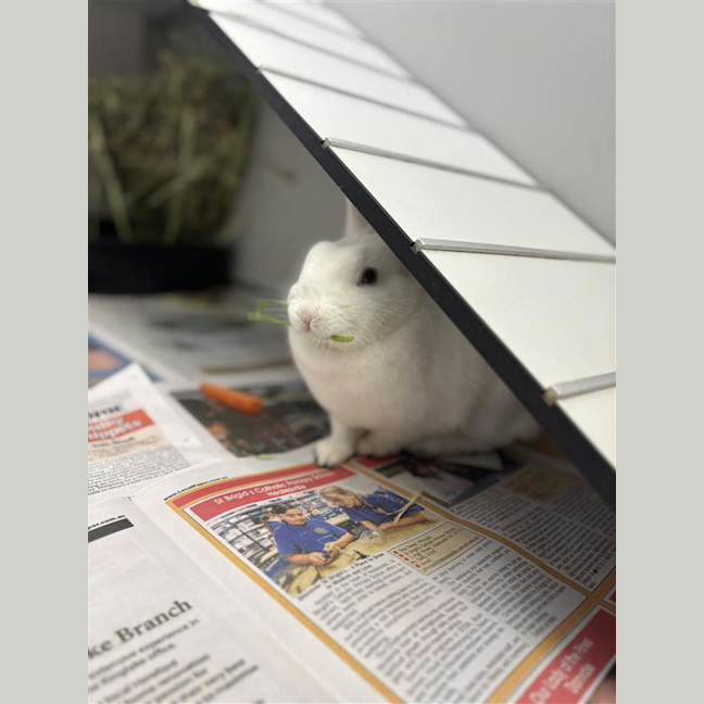 Photo of Baby Cloud
