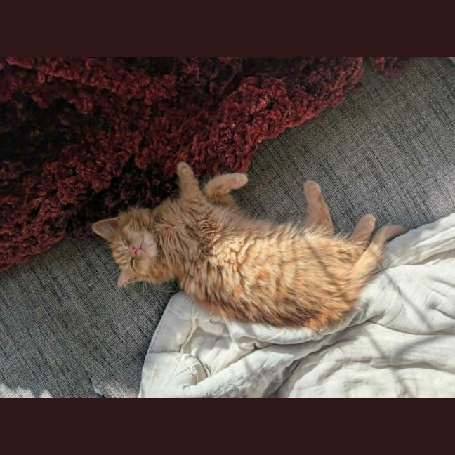 Photo of Bert