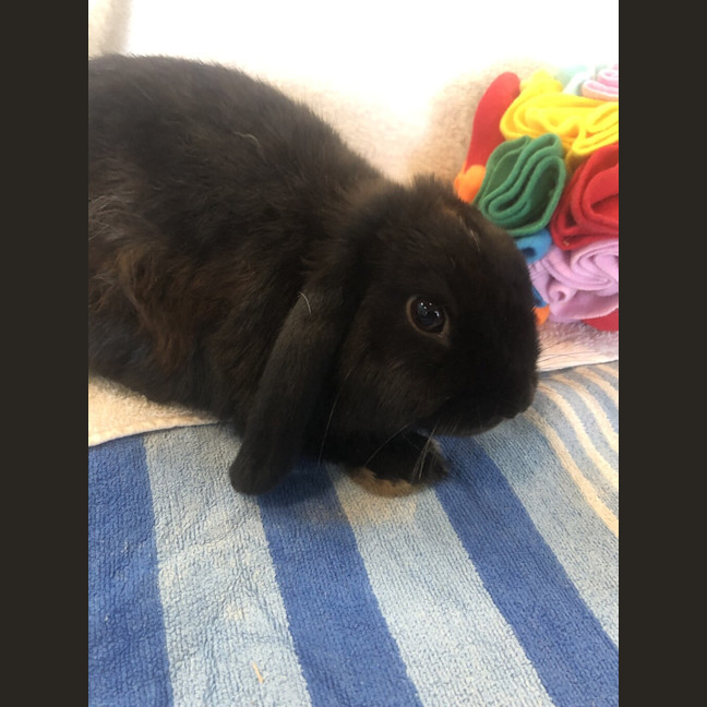 Photo of Billy