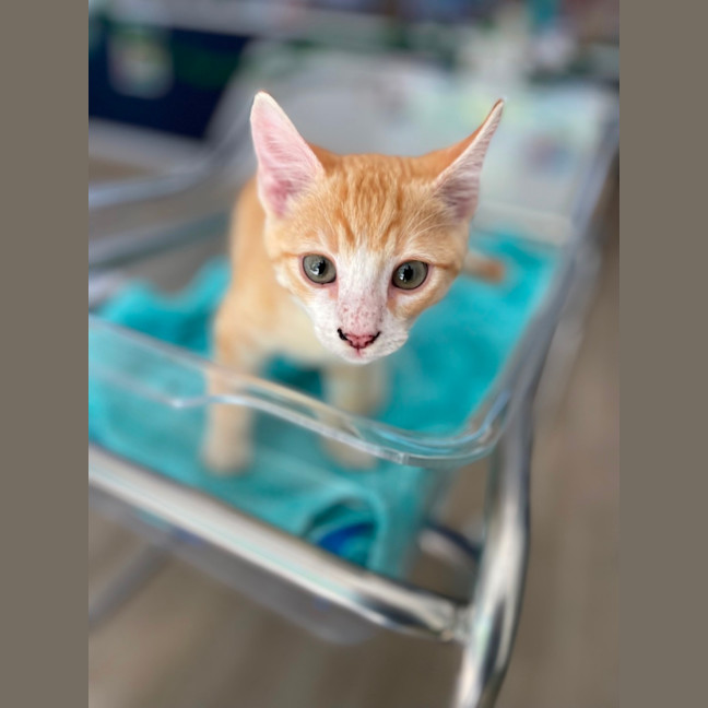 Photo of Marm
