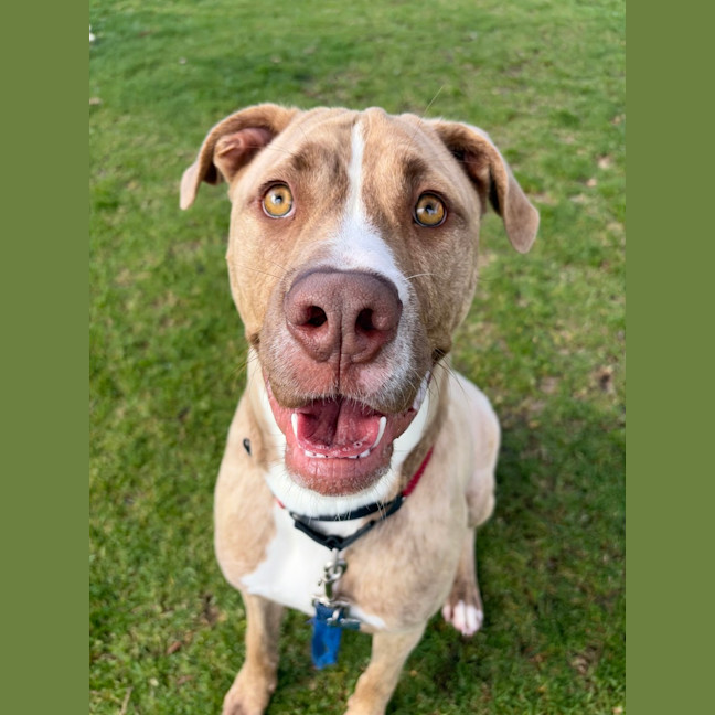 Photo of Clifford
