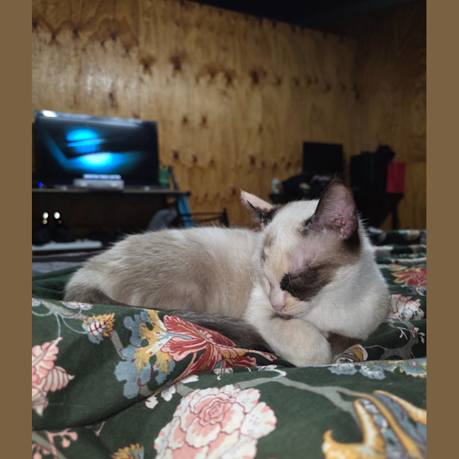 Photo of Dairy Queen