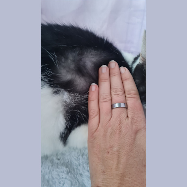 Photo of Archie & Lisa