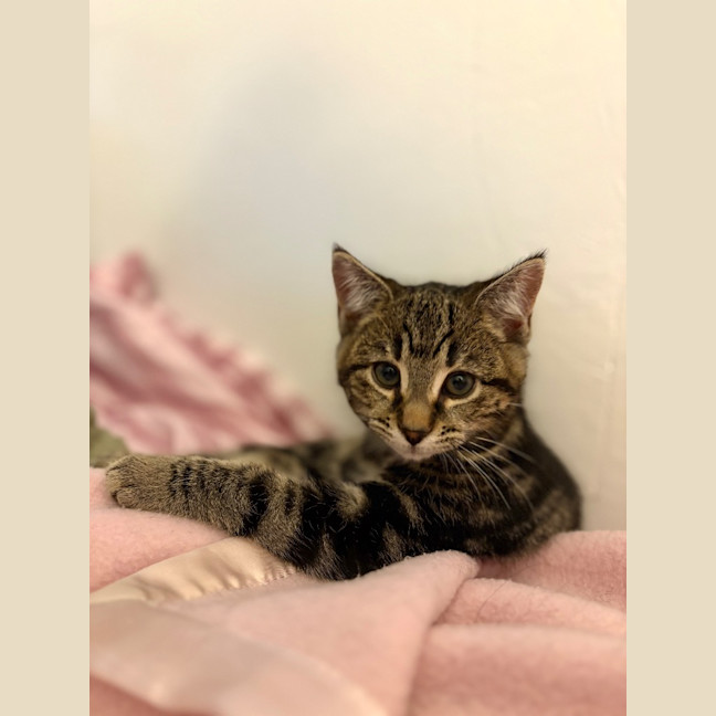 Photo of Hunter Mewell