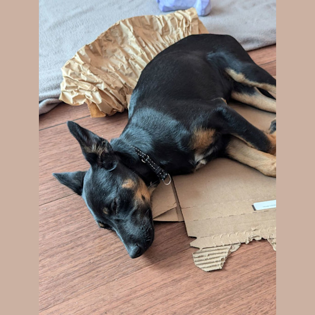 Photo of Ellie