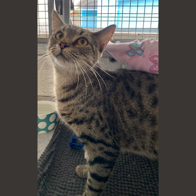 Photo of Narla